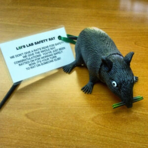 Lab Safety Rat