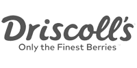 Driscolls logo